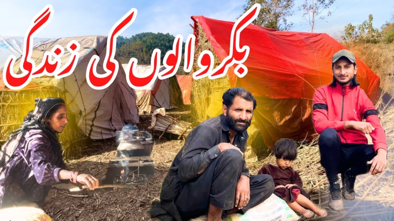The life of the Bakarwals || bakarwalo ka safer kasa full vedeo || 