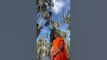 Thumbnail of Mindful Swamp Meditation in Louisiana Bhante Devananda chanting Jaya Paritta