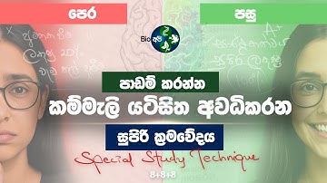 මේ වැඩේ කරොත් ඔයත් ගොඩ - Special 8+ Rule for Students  | Study Tips in Sinhala - Bio Api