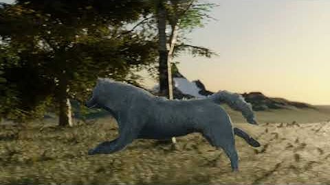 Running wolf loop ANVIL - LORN