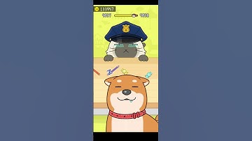 Hide And Seek : Cat 🐈 Escape Game | Level-9037 | Satisfying Gameplay #games #shorts #hideandseek