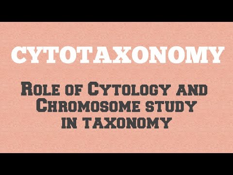 CYTOTAXONOMY- Role of Cytology(Mainly chromosomes)in Taxonomy