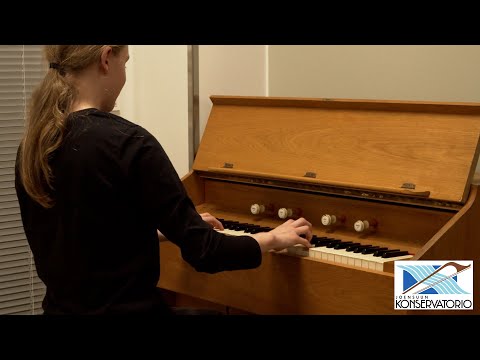 Video: Pystyykö soittimien soittamiseen a altosulkeilla?