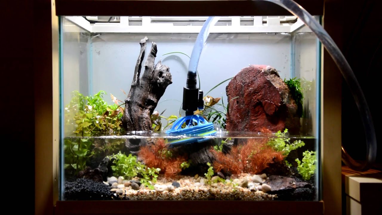 خطوات عمل حوض متكامل لأسماك الزينة Aquarium fish Setup I - YouTube