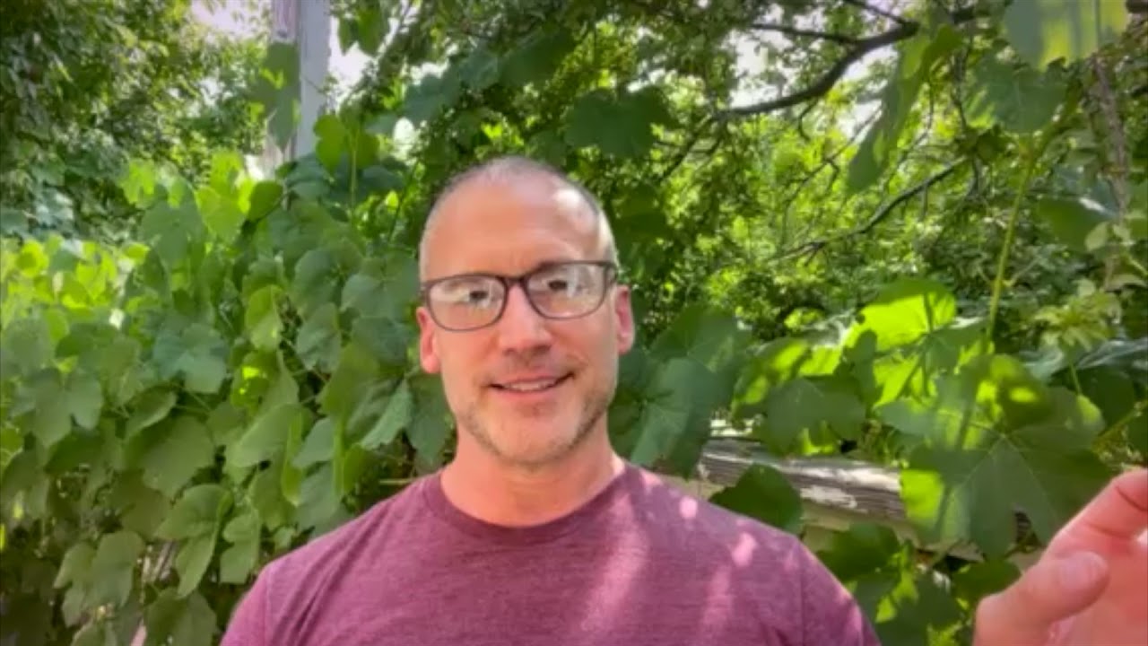 Samavesha 2021   Adam Ballenger