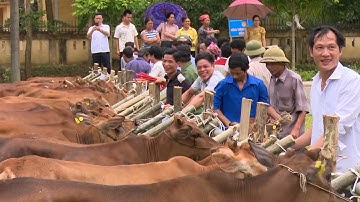 Chăm lo đời sống đồng bào dân tộc thiểu số