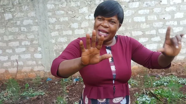 planting trees is another good investment