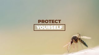 Mosquito Control - Protect Yourself