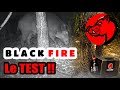 TEST DU BLACK FIRE (les sangliers adorent)