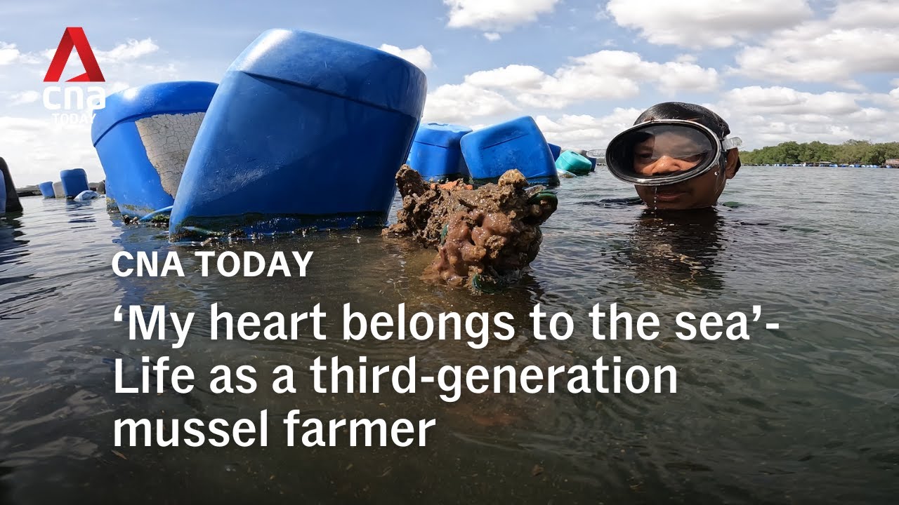‘My heart belongs to the sea’-Life as a third-generation mussel farmer