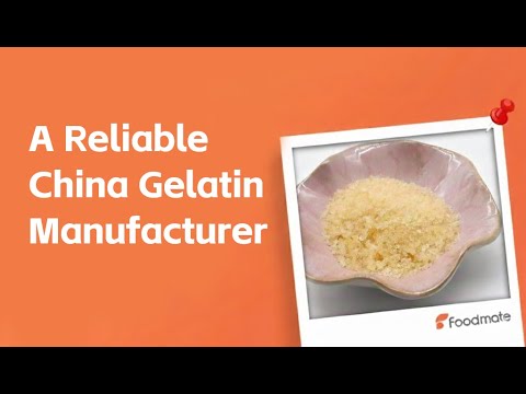 Foodmate Gelatin – A Leading Chinese Gelatin Manufacturer for Global Markets