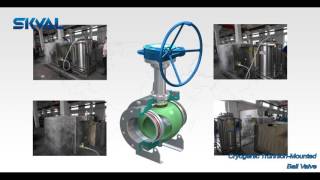 Cryogenic Trunnion Mounted Ball Valve