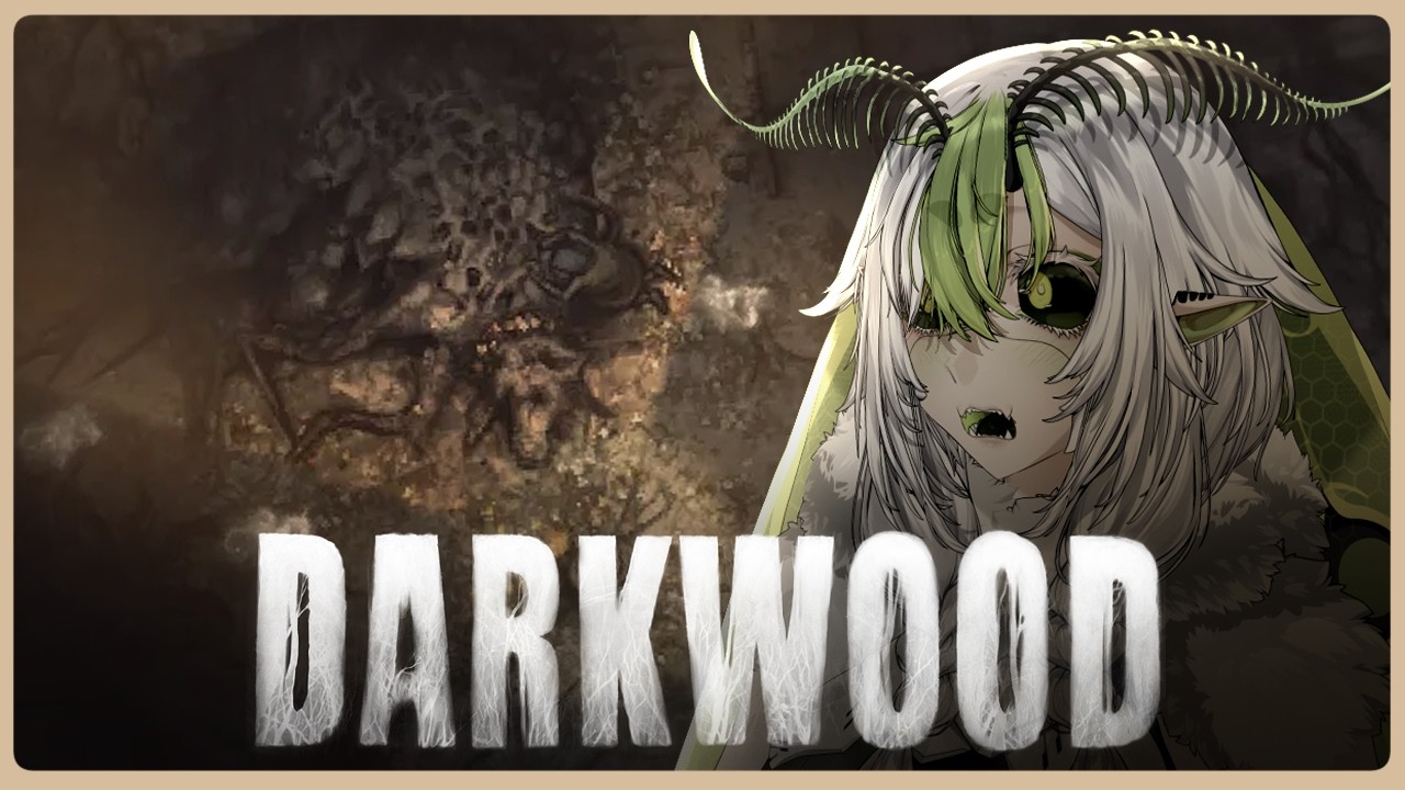 Dude, We Have to Finish Darkwood