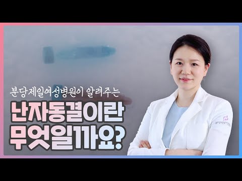 분당제일여성병원 난자동결이란 무엇일까요?