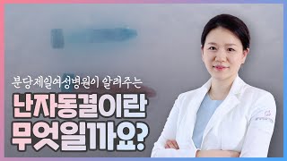 분당제일여성병원 난자동결이란 무엇일까요?