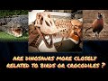 Are crocodiles modern day dinosaurs