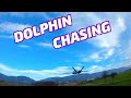 AtomRC Dolphin Chasing