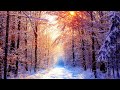 🔥Beautiful Snow Scene - Winter Scene - Relaxing Piano Sleep Music: Meditation, Study & Spa Music #31