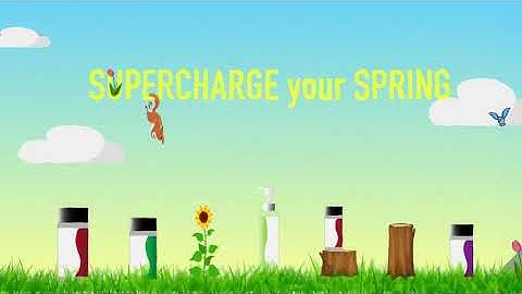 SQUIRREL! Australia Promotion | After Effects Animation