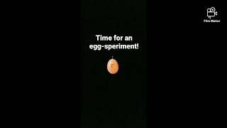 Egg-speriment: Strength of Domes Book Stack