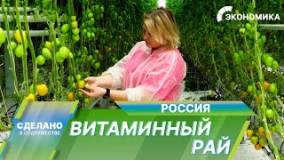 Витаминный Рай России. Как Выращивают И Перерабатывают Овощи В Кабардино-Балкарии?