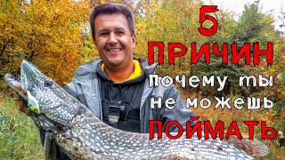 5 ПРИЧИН почему ты не можешь ПОЙМАТЬ на Вибы и Раттлины