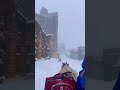 Avoriaz ski resort