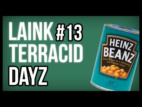 Laink et Terracid #13 // DayZ