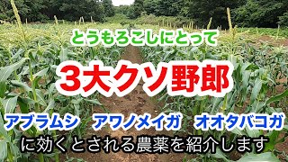 とうもろこしヤングコーン両方に使える農薬　アブラムシ　アワノメイガ　オオタバコガ