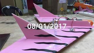 Zagi Profile DIY