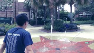 UF AASA 2013 - FLP Video