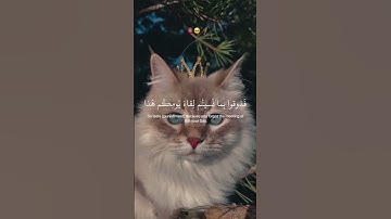 اكتب شئ تؤجر عليه ..🩵🪻       سورة السجدة .🪻