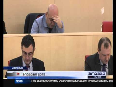 2015 წლის სახელმწიფო ბიუჯეტი დამტკიცებულია