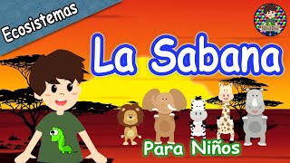 ¿Qué es la Sabana? 🦁🦒🦏Video educativo para niños. Flora, fauna, ubicación, características