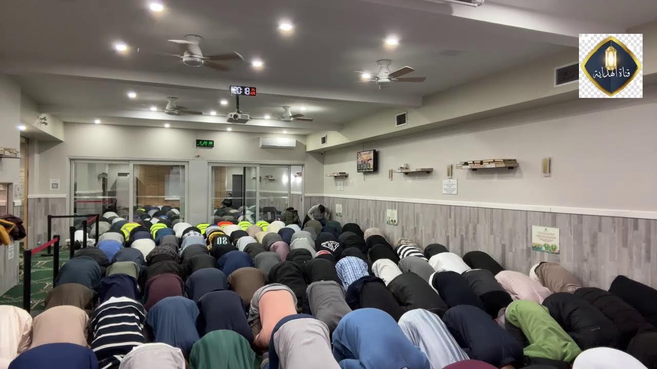 لقاء الفتاوي