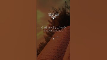 القران الكريم راحت البال والنفس والروح والقلب #اكسبلور #duet #دويتو #القرآن_الكريم #راحة_نفسية #يارب