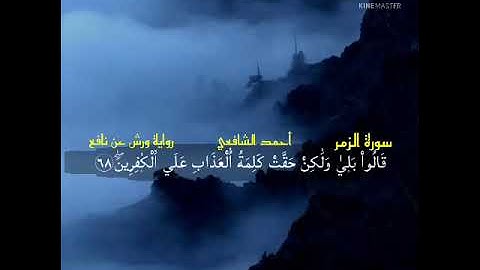 وأشرقت الارض بنور ربها | تلاوة مؤثرة من سورة الزمر | أحمد الشافعي | برواية ورش عن نافع 💔