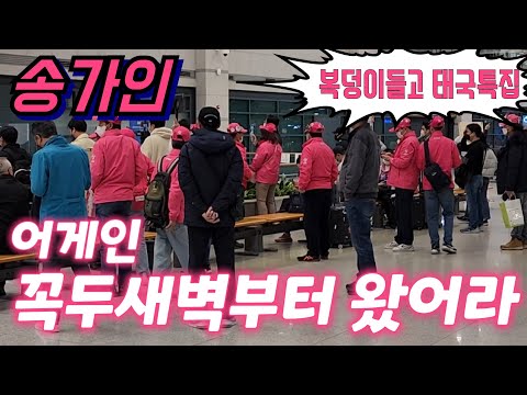#송가인📣 어게인 찐팬들 꼭두새벽부터 마중나왔어라~ 복덩이들고 태국특집 인천공항 입국현장 10월27일