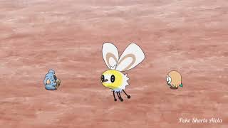 Komala vs Ash's Rowlet