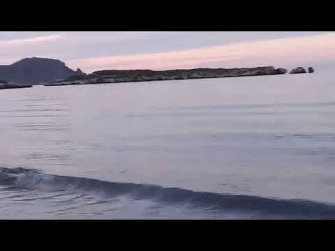 لقد كانت مواساتي لنفسي دائم ا أن الله ما أحدث لي أمر ا إلا لخير وما أشقاني إلا ليرضيني 