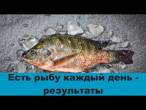 Если есть рыбу каждый день - результаты. ТОП 10 самых полезных и доступных сортов рыбы