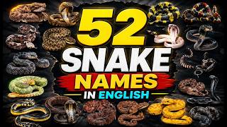 52 Snake Names in English | Snake Names & Pictures | Learn Snake Species | English Vocabulary