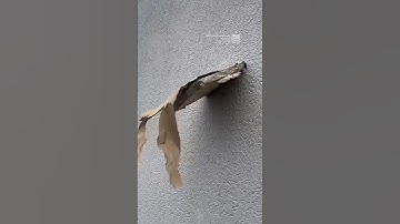 First-person view of Kentucky storm damage