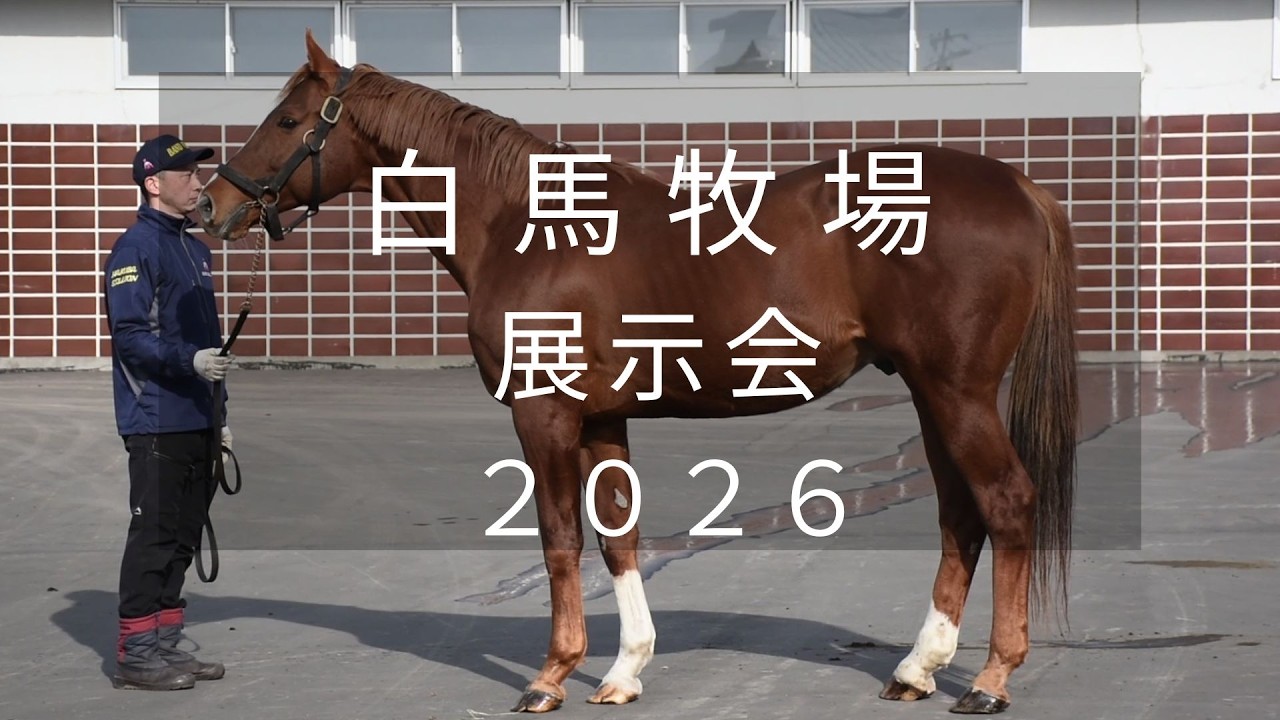 【白馬牧場展示会2026】ゴールデンバローズやアルアインなど11頭が登場！