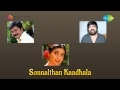 Sonnal Thaan Kaadhala | Mullaaga Kuththakoodaathu song