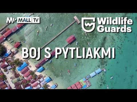 Video: Ako Bojujú S Pytliakmi Na Kamčatke