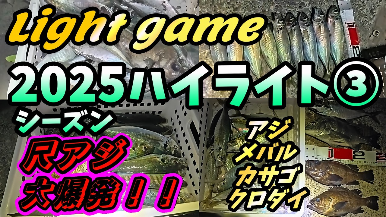 2025ハイライト③Light game 尺アジ、メバル、クロダイ、カサゴ編