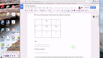 Using Google Drive to go paperless in classroom