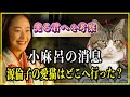 【光る君へ】源倫子の愛猫・小麻呂はどこへ行った?消息を徹底調査!