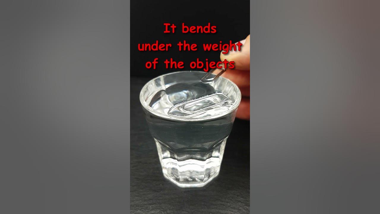 Water surface tension holds up a small coin physics YouTube